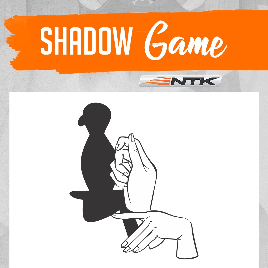 Easy shadow game