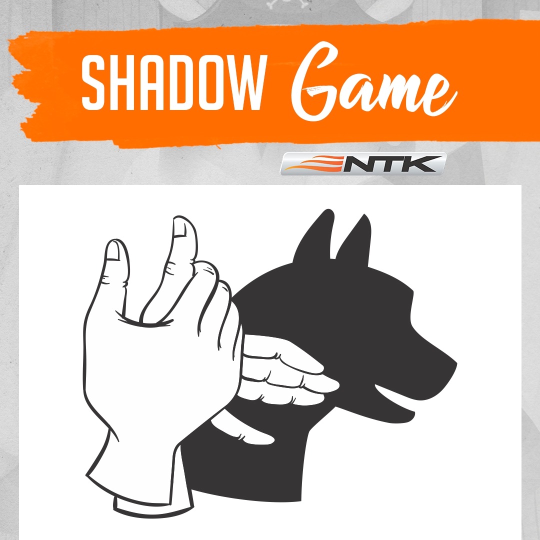 Easy shadow game