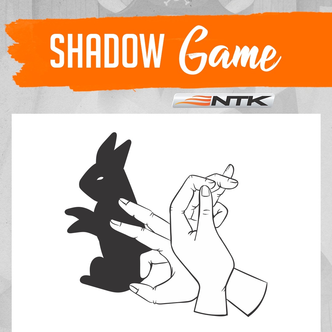 Easy shadow game