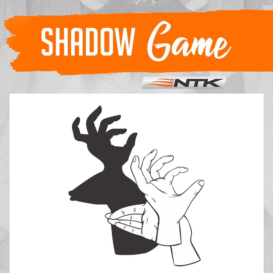 Easy shadow game