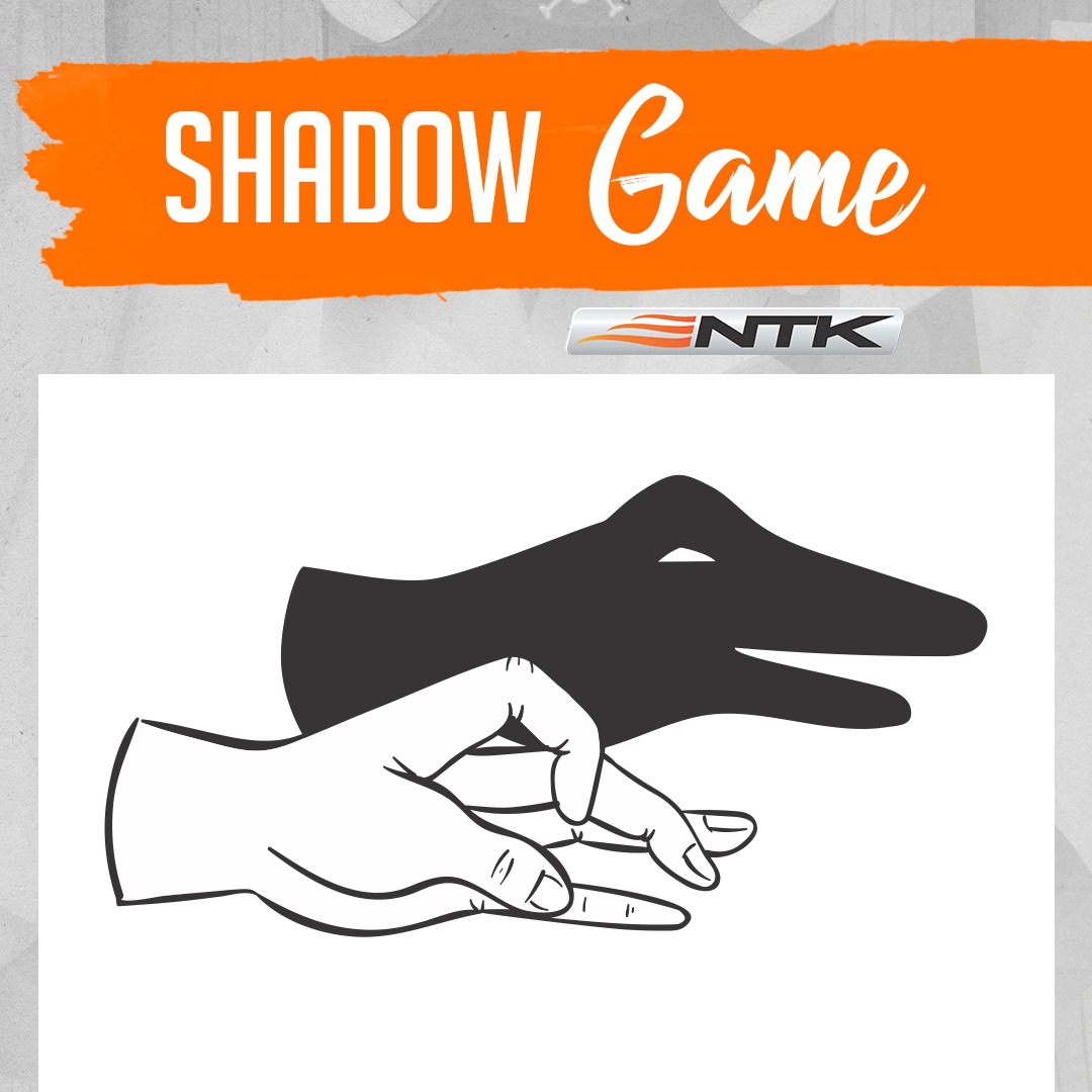 Easy shadow game