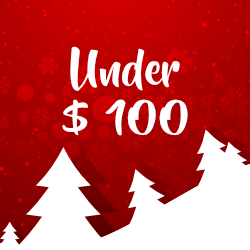 NTK Gifts under $100
